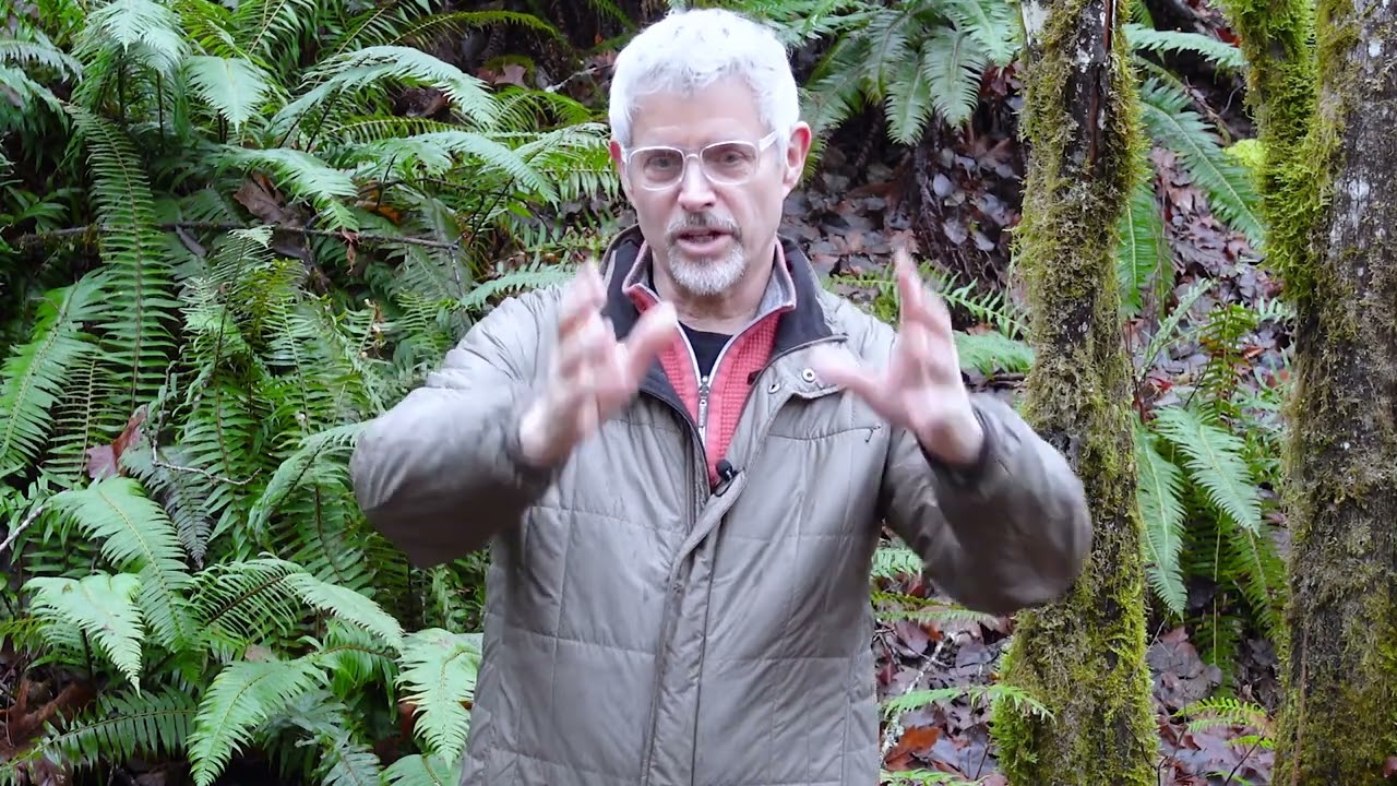 Physician Wellness - why we must do this deeper work on Meaning and Purpose