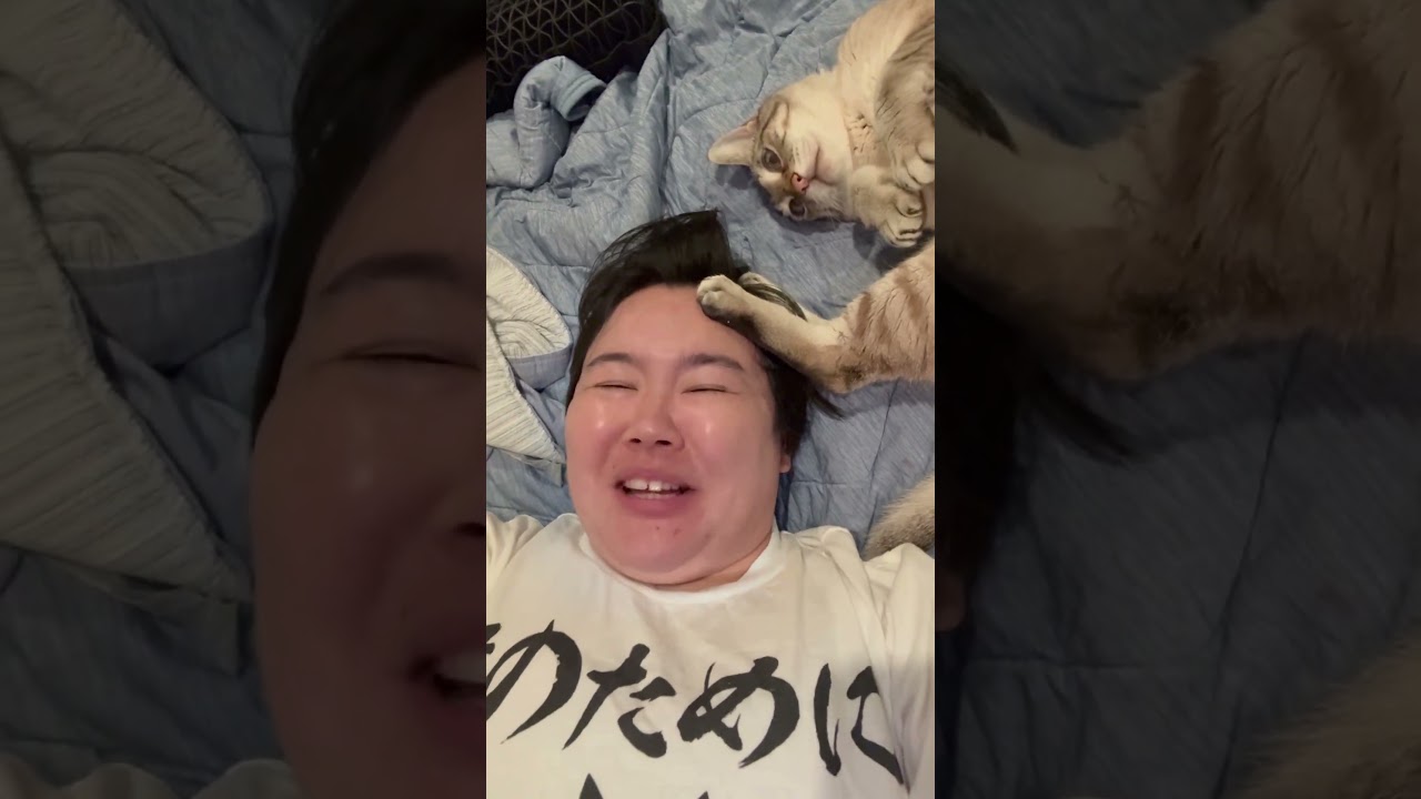 猫様の下僕なりよ〜　#猫のいる暮らし #cat #やす子