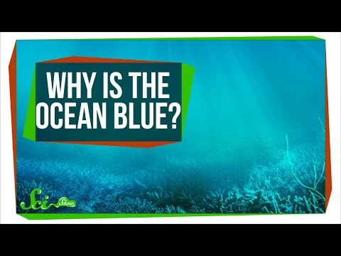 Why Is the Ocean Blue?