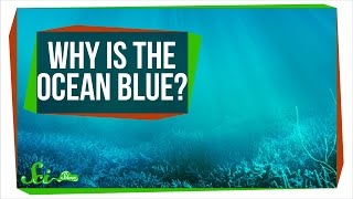 Why Is the Ocean Blue?