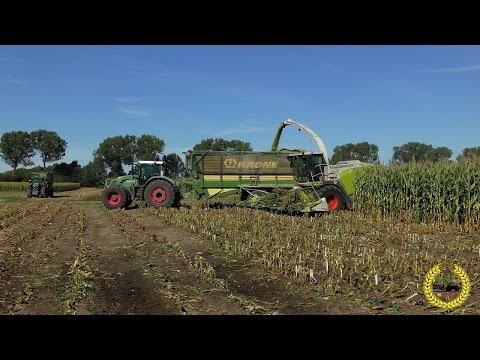 Claas Jaguar 980 und Xerion 4500 XXL  Maisernte 2016 / Corn Harvest/ Mais hakselen / Harvesting mais