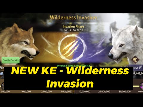 Wilderness Invasion Review - Wolf Game Wild Animal Wars - YouTube