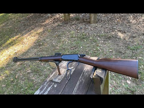 Henry .22 Model H001!! Ammo test and review.