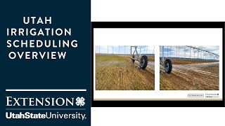 Irrigation scheduling