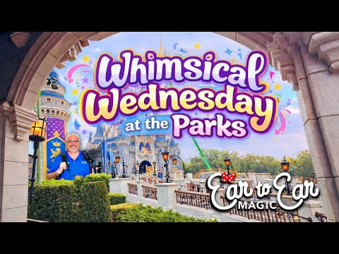 Live webcam of Ear to Ear Magic