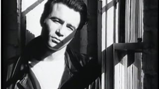 Commitment of the Heart Music Video