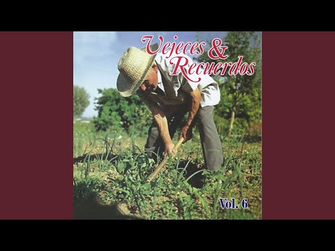 Dejame Amarte Aunque Sea un Dia