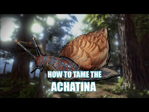 Ark Achatina Taming Guide  - GET TONS OF CEMENTING PASTE NOW!!!