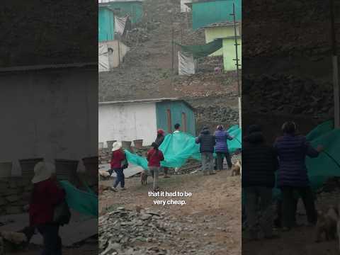 Using Fog Catchers to Bring Clean Water to People