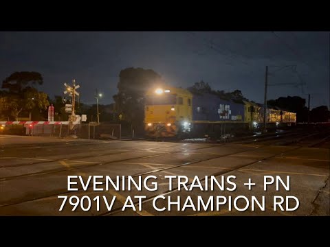 Evening Trains + PN 7901V at Champion Rd