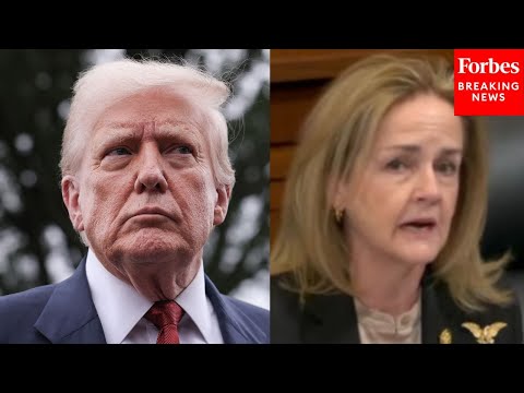 Video | 'Reckless Destruction': Madeline Dean Accuses Trump Admin Of Causing 600,000 Deaths From USAID Cuts