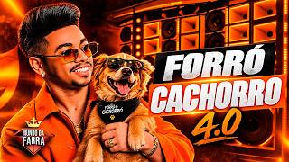 ALLÊ NO BEAT ATUALIZADO 2026 - FORRÓ CACHORRO 4.0 - REPERTÓRIO NOVO - ALLÊ NO BEAT OUTUBRO 2026