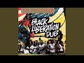 Black Skin White Minds