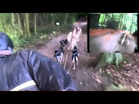 Ströhen 2014 openteam vergleich zu 2015