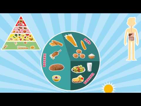 Az egészséges táplálkozás alapjai – Mit és hányszor egyek egy nap, egy héten (3-6. oszt. korcsoport)