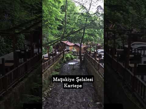 Maşukiye Şelalesi ve Gurme Restoranlar Kartepe Kocaeli