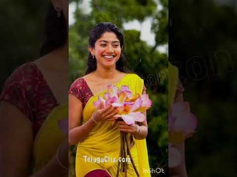 💥💥Southindian actress with flower💐#reshmika❤#samantha💙#nayanthara💜#thamannah🖤#hansika💛#poojahegde💚