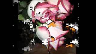 Descargar Broncl Te Amo Mp3 Xmp3x broncl te amo xmp3x online