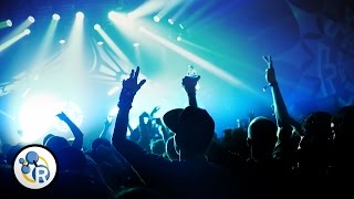 This Is Your Brain on Music