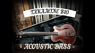 Video thumbnail for TAKAMINE B10 HYBRID ACOUSTIC BASS - Andy's Vintage Guitars by ANDY'S VINTAGE GUITARS
