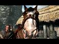 Skyrim Being Skyrim For 30 Minutes...