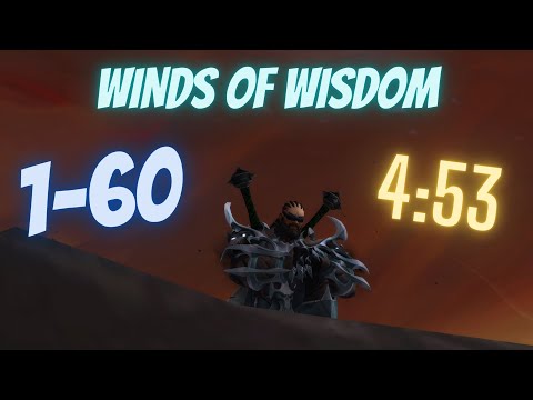 1-60 SUPER SPEEDRUN in 4h 53min - Fastest solo speedrun EVER?