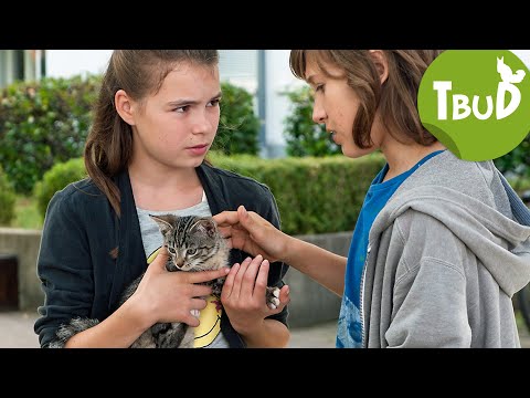 Ausreißer (Folge 72) | Tiere bis unters Dach