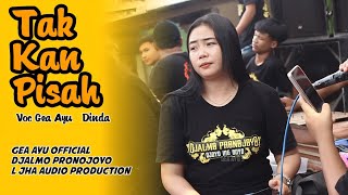 Download lagu GEA AYU TERBARU Cover Jandut Djalmo Pronojoyo 2025 mp3