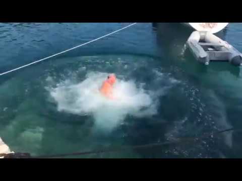 Day 11 Port Kioni on the Greek island of Ithaca