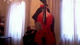 Nicola Moneta - Octobass