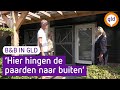 B&B in GLD - De Heughte -  Slapen in een oude paardenstal  | Omroep Gelderland
