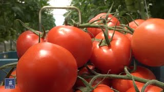 Հրապարակում 12.06.2021