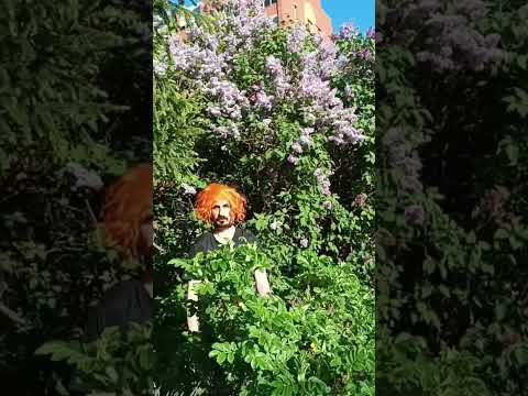 Qpala Итог #arthouse #артхаус #кино #купала #рыжий