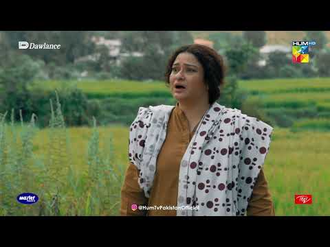 Zarghuna Ka Bacha Zaya Hogaya  !! - Sang-e-Mah - HUM TV