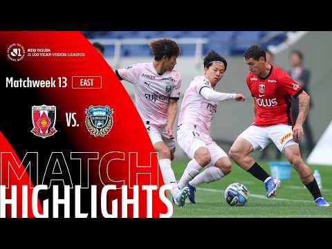 bg-highlight