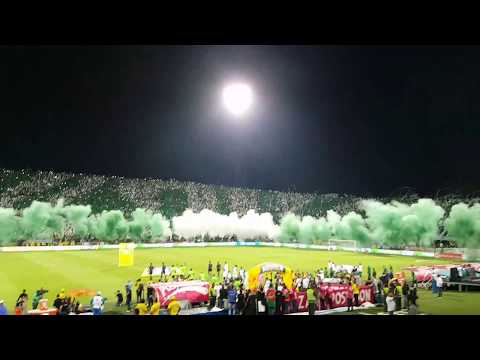 "Atletico Nacional Campeon 2017 - Recibimiento y Himno" Barra: Los del Sur • Club: Atlético Nacional