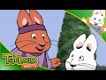 Max Ruby Max Says Hello Ruby S Spa Day Ruby S Tai Chi Ep 53