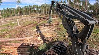 Plynas sanitarinis kirtimas | John Deere 1170G | IBC | H413 | MTH