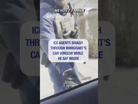 ICE agents shatter car window during arrest #news #ICE #arrest #massachusetts #immigrant #wfla