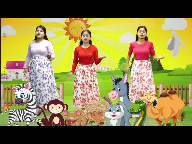Vídeo relacionado con Ara us contaré l'arca de Noè (Infantil Ilustrado)
