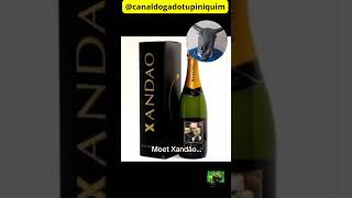 #BolsonaroPreso #XandaoMalvadao