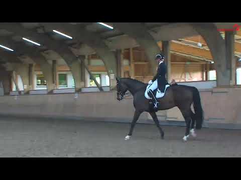 Elitist  - Juliane Brunkhorst -  Schenefeld 2022