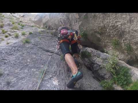 Anića kuk - Forma viva