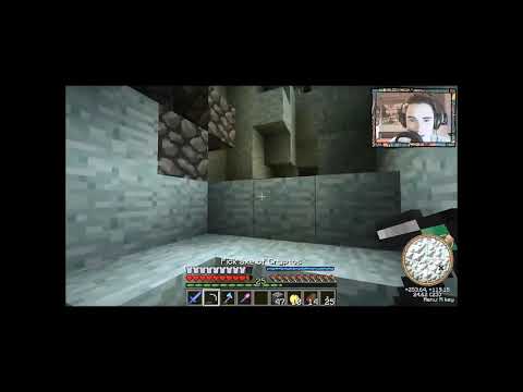 polski pingwin obraża n