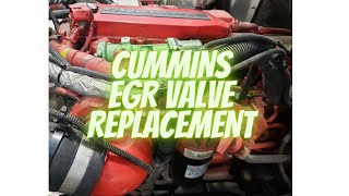 Cummins ISB 6.7L Engine EGR Valve Replacement