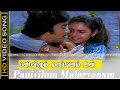 பனிவிழும் மலர்வனம் | Panivilum Malarvanam song | Ninaivellam Nithya | Karthik, Gigi | 
