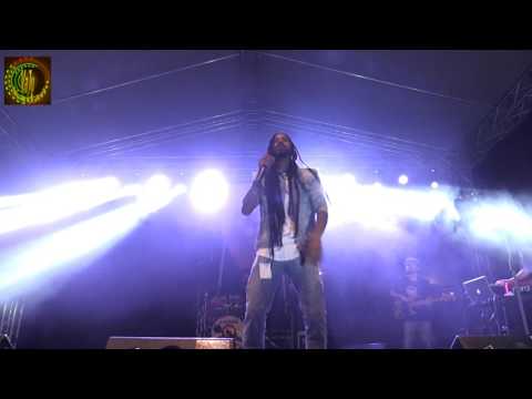 CULTURAL REGGAE VIBEZ 2017 -  Lion D