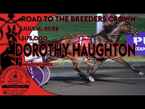 2022 Dorothy Haughton Memorial - Test Of Faith - Mare Pace