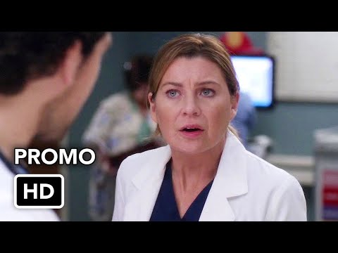 Grey's Anatomy Episode 16.15 Snowblind | Episode Guide, Cast and Crew