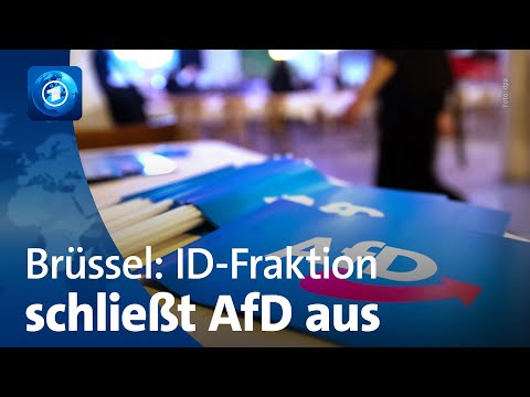 Rechte ID-Fraktion im EU-Parlament schließt AfD aus